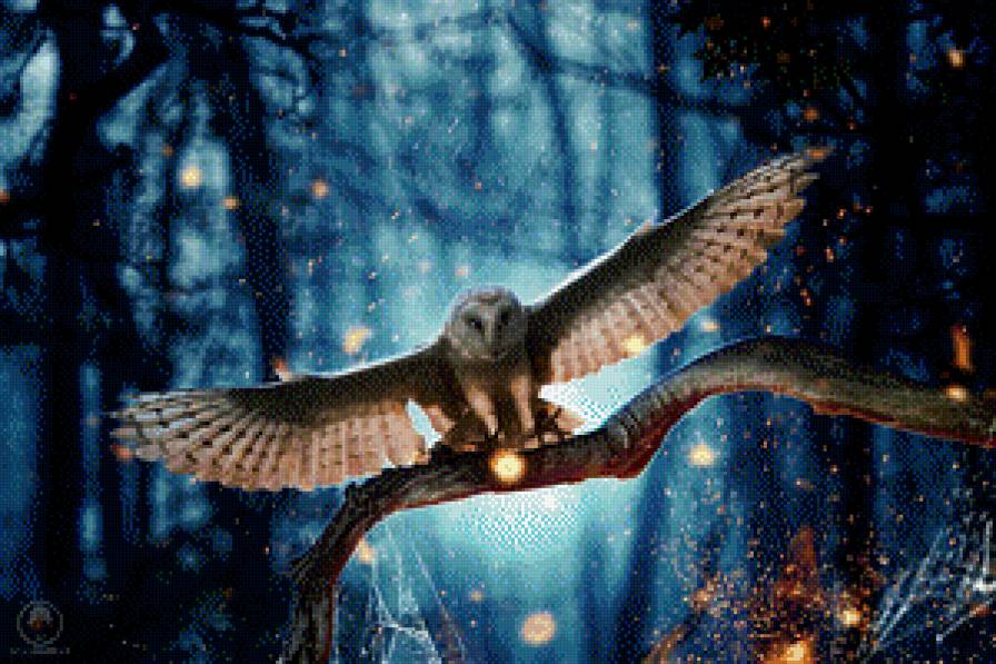 сова - мистика, ночь, птица, сова - предпросмотр