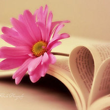 Книга с цветком
