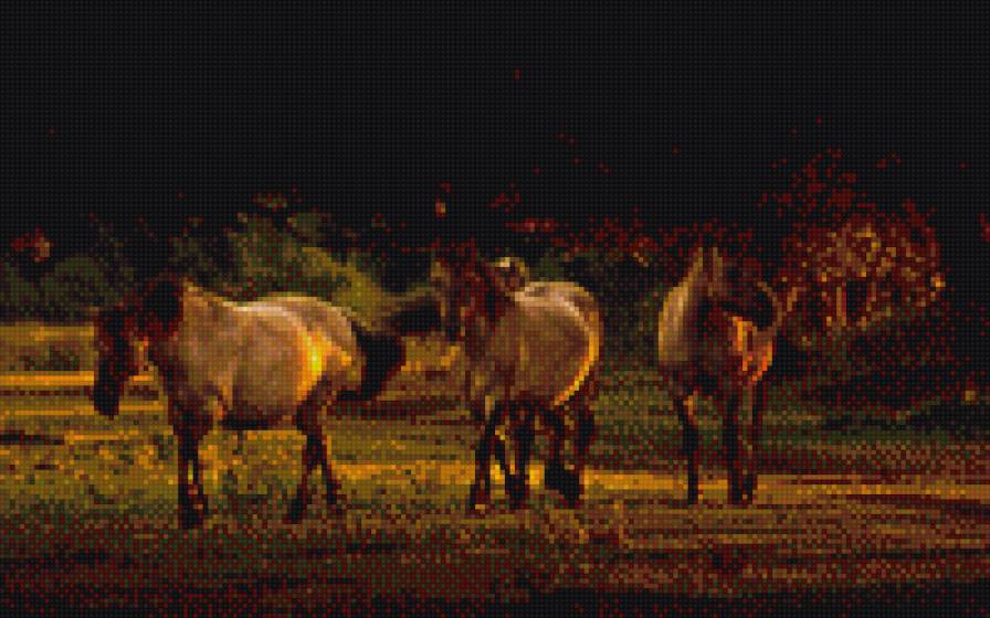 умные лошади - животные, лошадь - предпросмотр