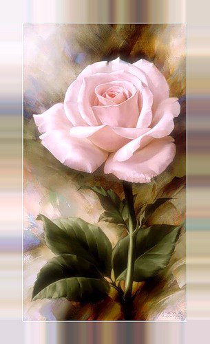 роза - розы - оригинал