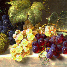 Схема вышивки «Грозди винограда»