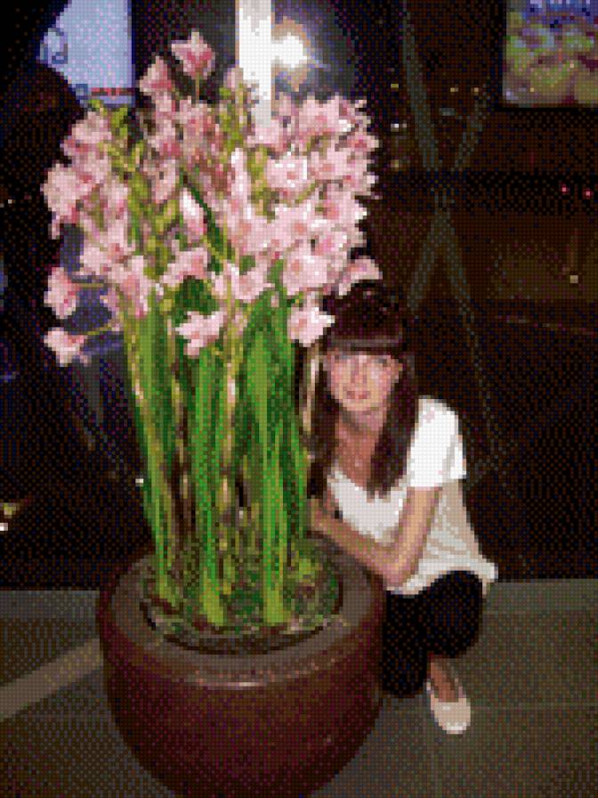 цветы - цветы - предпросмотр