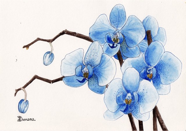 Орхидея I - оригинал