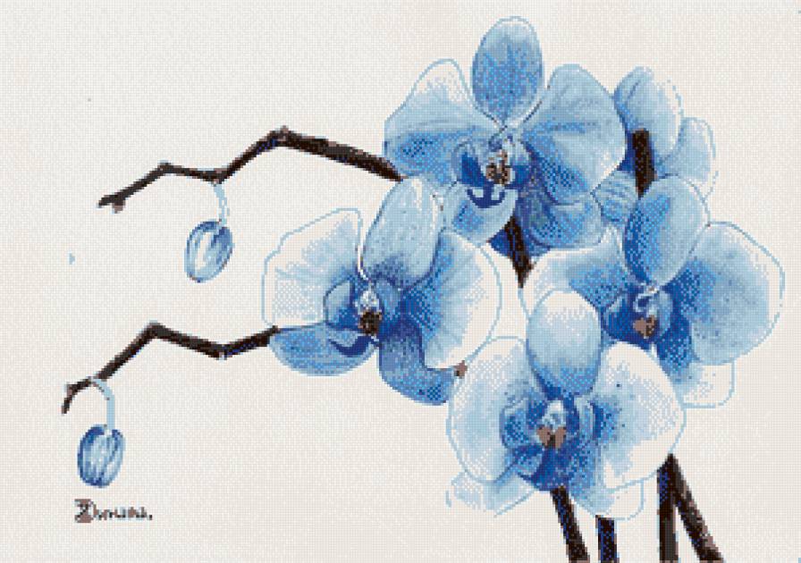 Орхидея I - предпросмотр