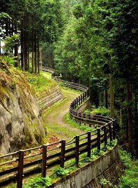 горная тропинка - горы, деревья, лес, тропинка - оригинал