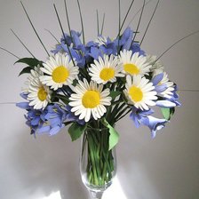 Букет ромашек