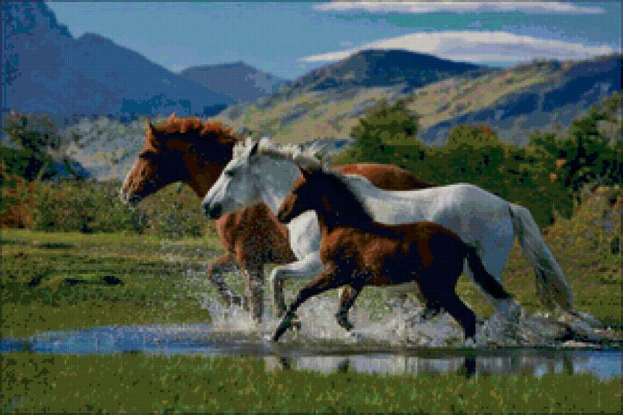 лошади - пейзаж, животные, лошади - предпросмотр