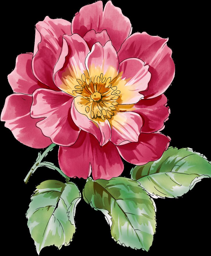 пион - оригинал