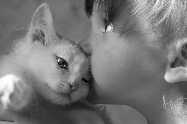 поцелуй - кошка, животные, дети - оригинал