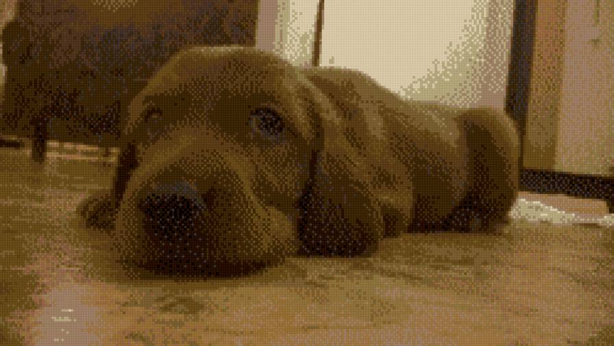 222 - предпросмотр