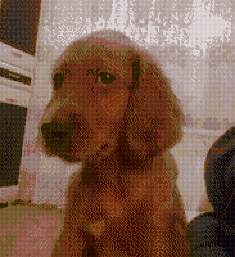 333 - предпросмотр