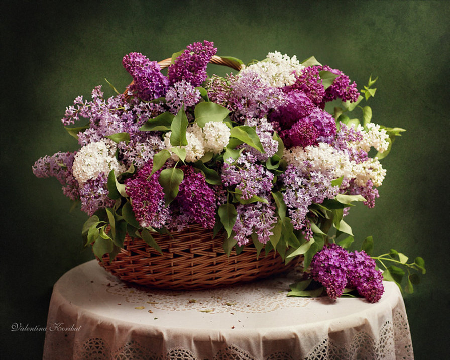 Сирень - цветы, сирень - оригинал