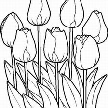 Оригинал схемы вышивки «тюльпаны» (№892924)