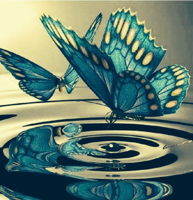 Бабочка - оригинал