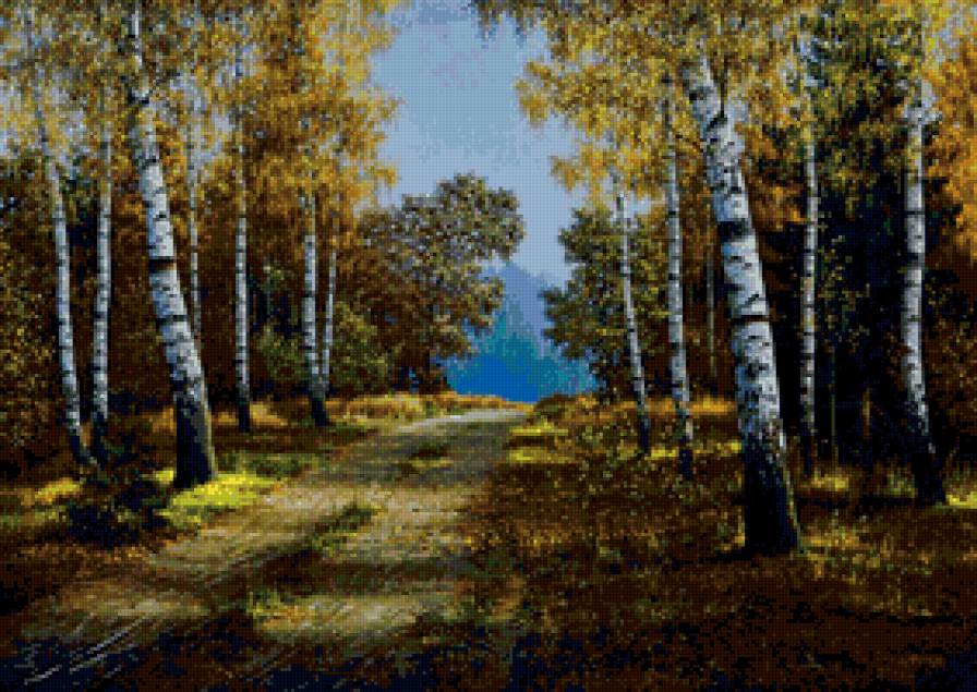 осень в березовом лесу - пейзаж. природа. лес. осень. березы, тропа - предпросмотр