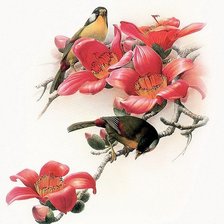Птицы на цветущей ветке