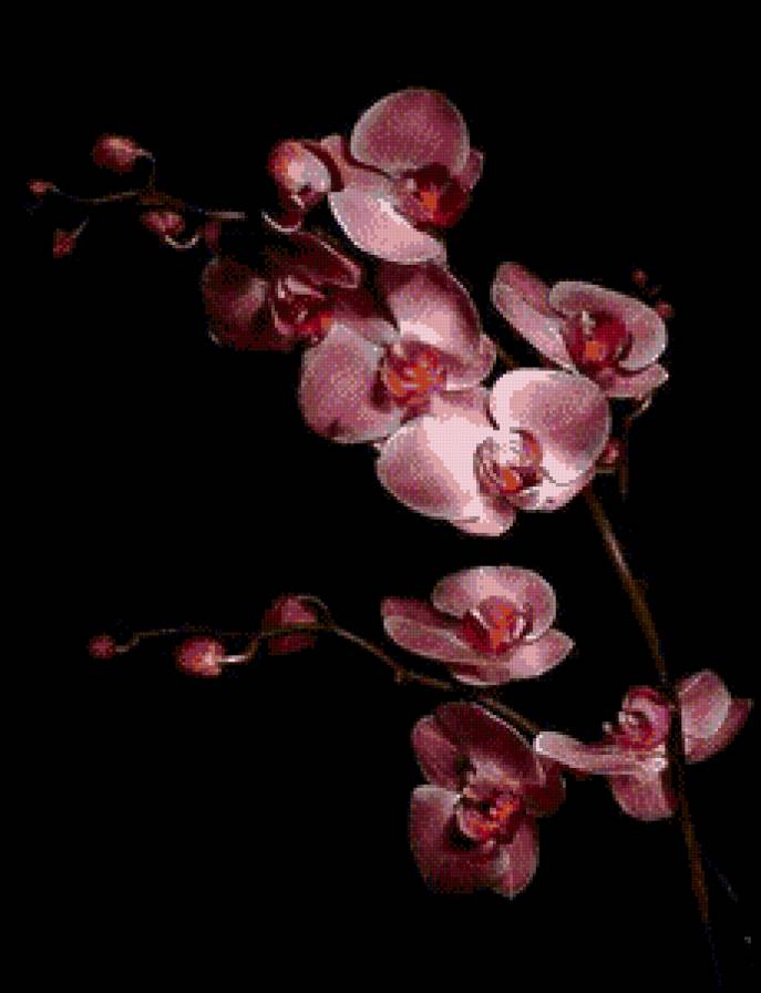 №893408 - предпросмотр