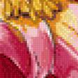 Предпросмотр схемы вышивки «пион» (№893456)