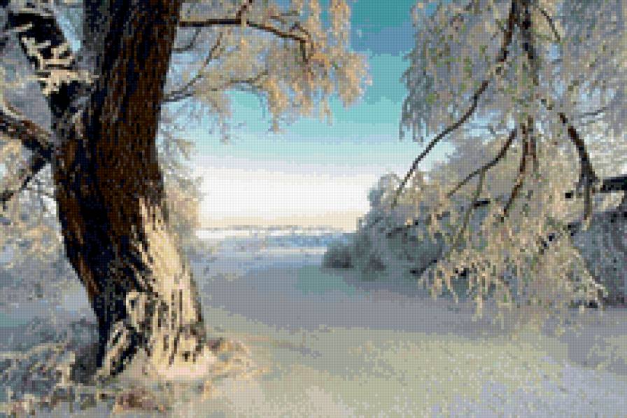 зимний лес - снег, пейзаж. природа. лес. зима - предпросмотр