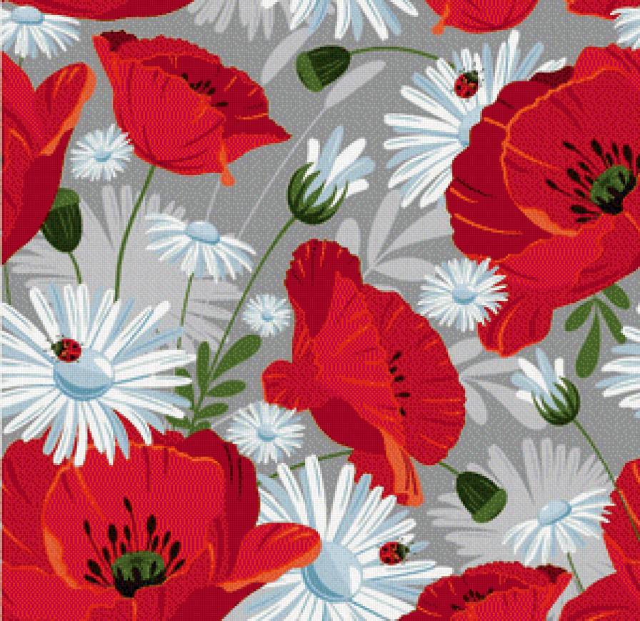 мак7 - цветы маки ромашки поле - предпросмотр