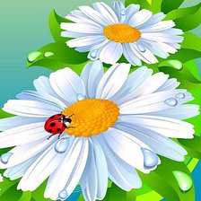 Схема вышивки «ромашка1»