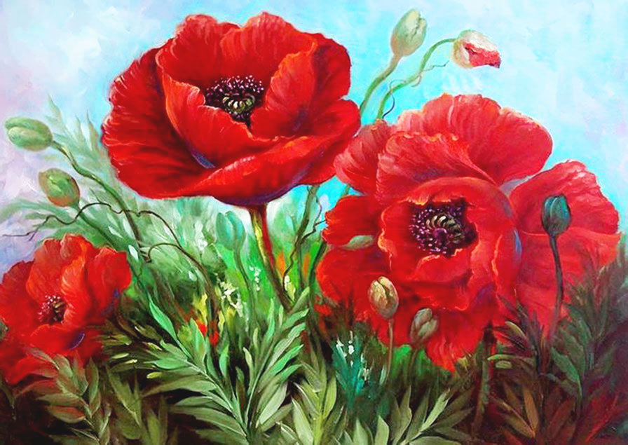 мак12 - маки цветы поле - оригинал