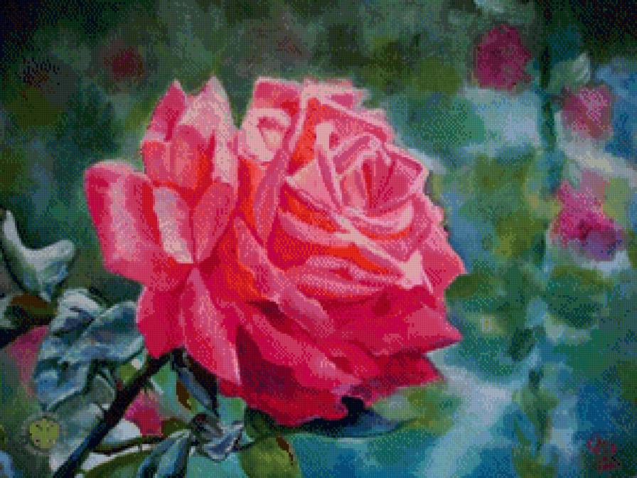 Роза - роза - предпросмотр