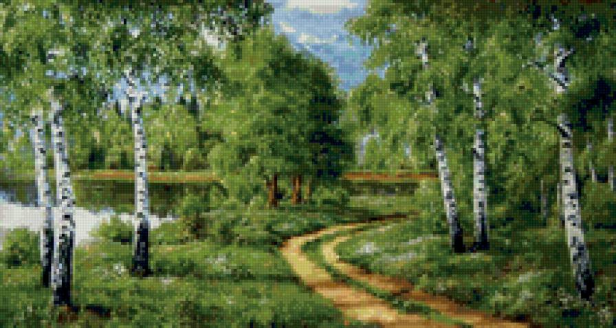 березовая роща - березы, лес, пейзаж. природа. лето, тропинка - предпросмотр