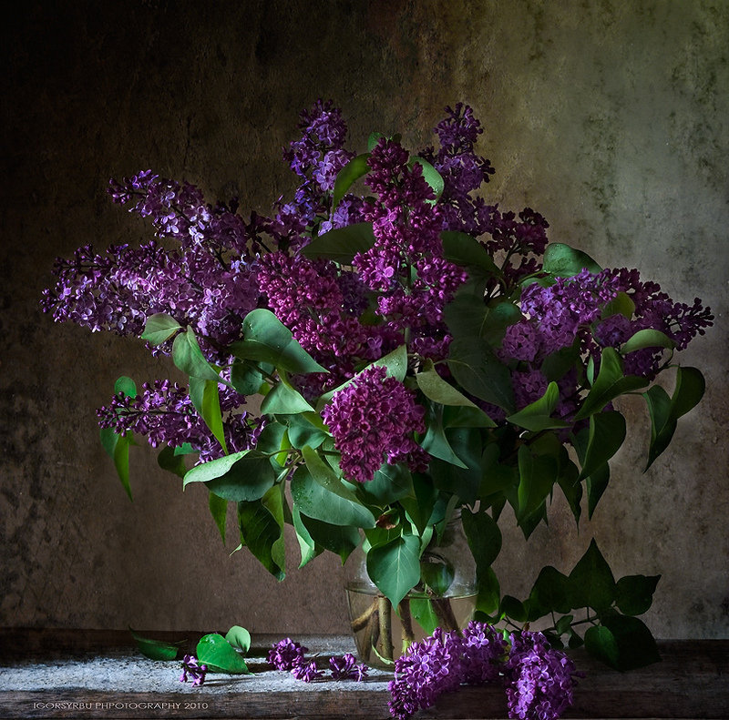 сирень  в вазе - цветы. сирень - оригинал