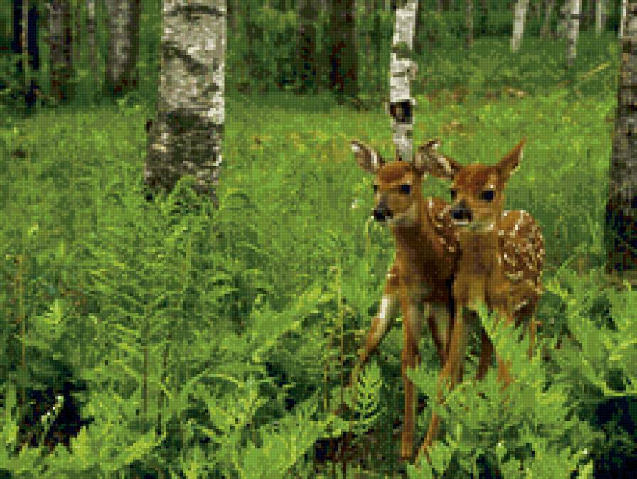 олени - природа. животные - предпросмотр