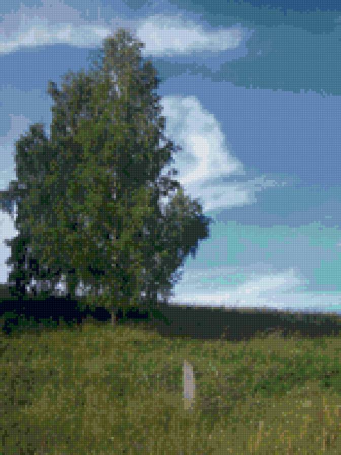 Одинокая березка - пейзаж, природа. березы - предпросмотр