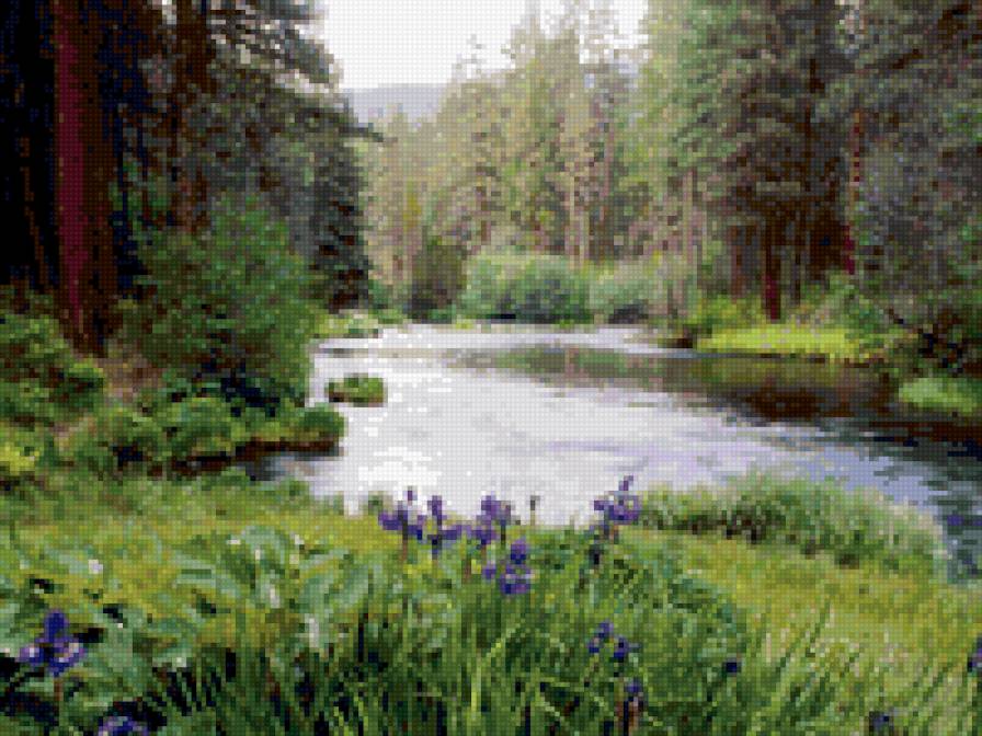 летний пейзаж - лес, ирисы, сосны, пейзаж. природа. ели. река - предпросмотр