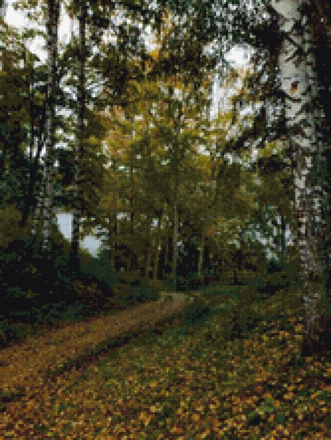 сентябрь - тропа, природа. лес. осень, пейзаж - предпросмотр