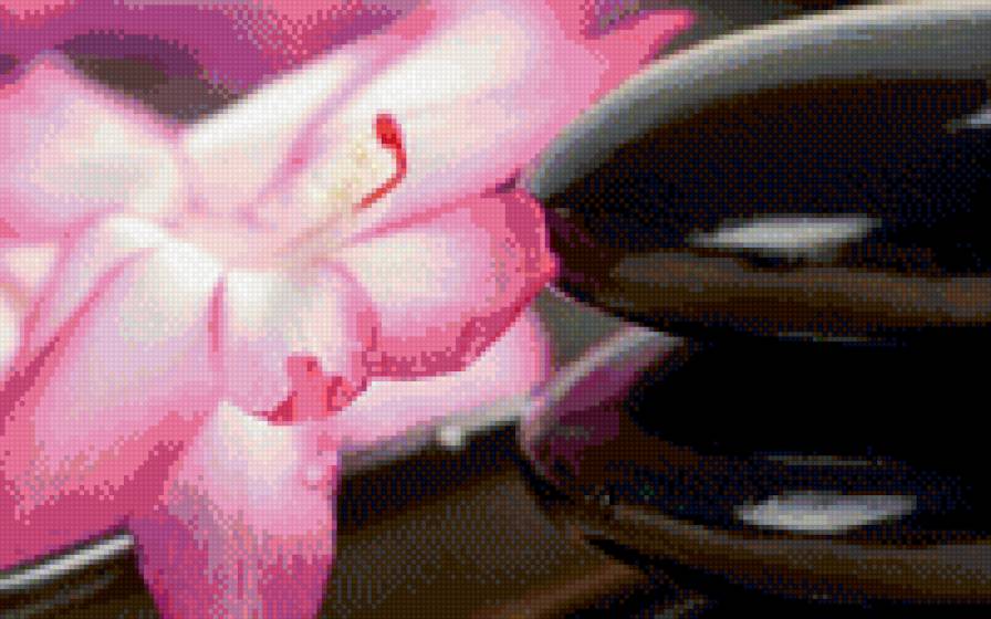 рэлпкс - рэлакс - предпросмотр