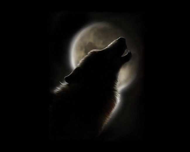 волк и луна - волк - оригинал