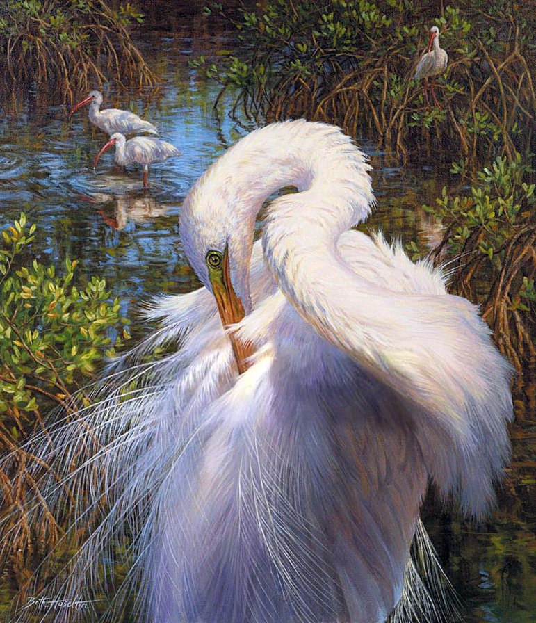 Цапля - птицы, цапля - оригинал