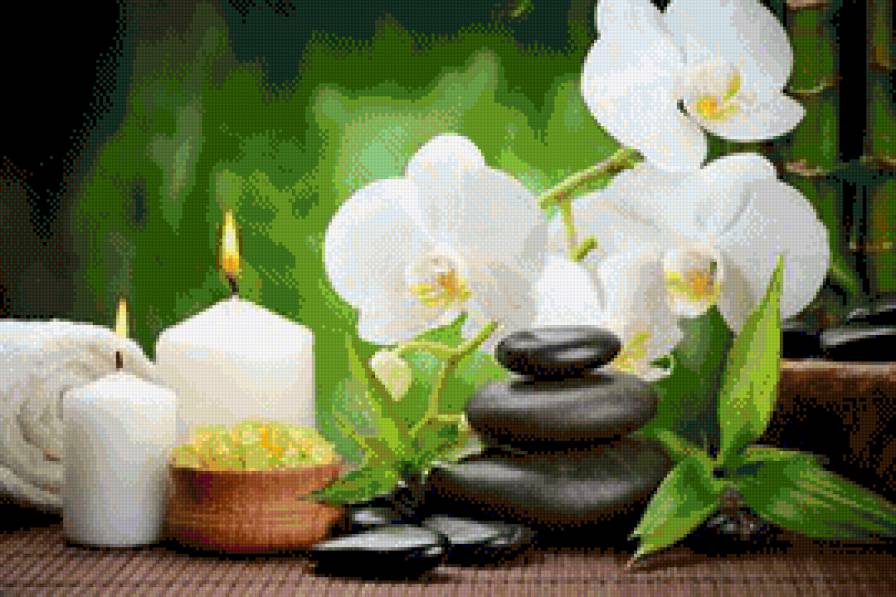 рэлакс - орхидеи, цветы - предпросмотр