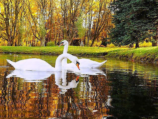 №894398 - оригинал