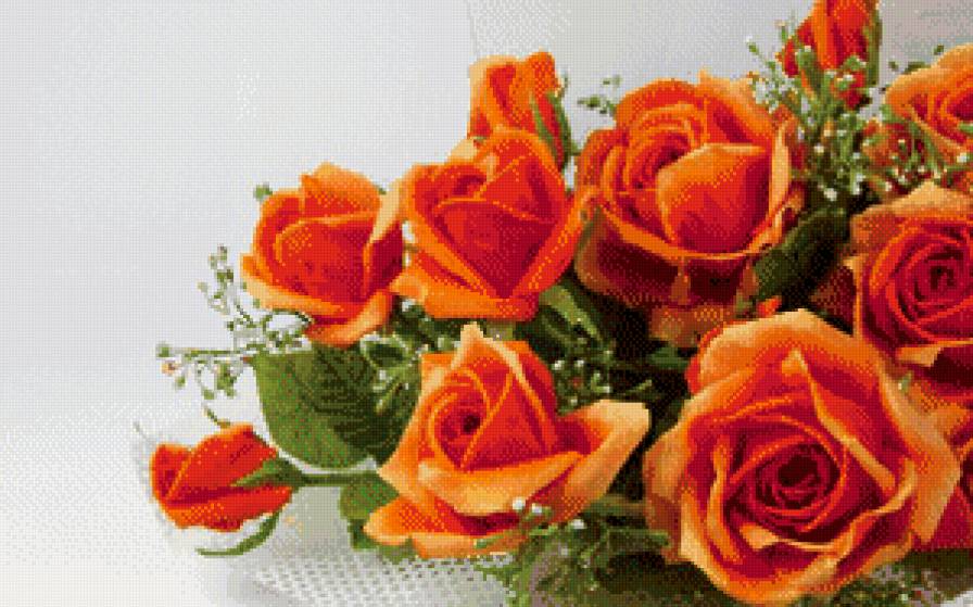 букет роз - цветы - предпросмотр