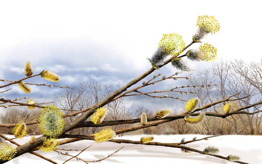 Верба - верба - оригинал