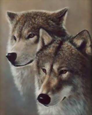 пара вовків - оригинал