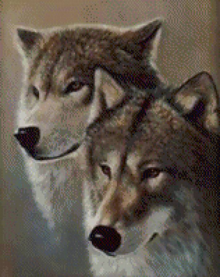 пара вовків - предпросмотр