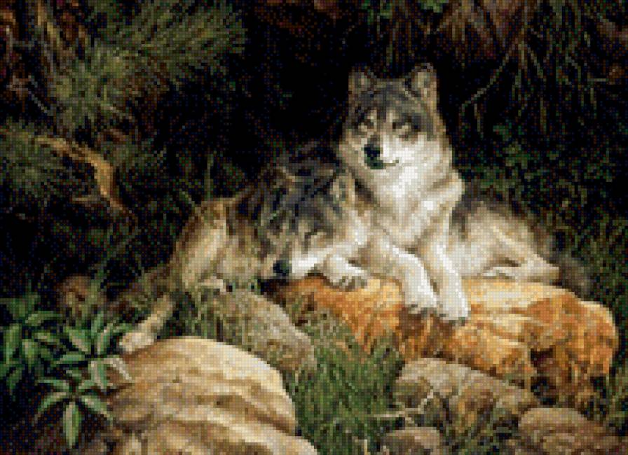 пара вовків 2 - предпросмотр