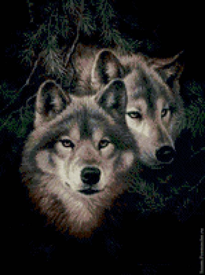 пара вовків 4 - предпросмотр