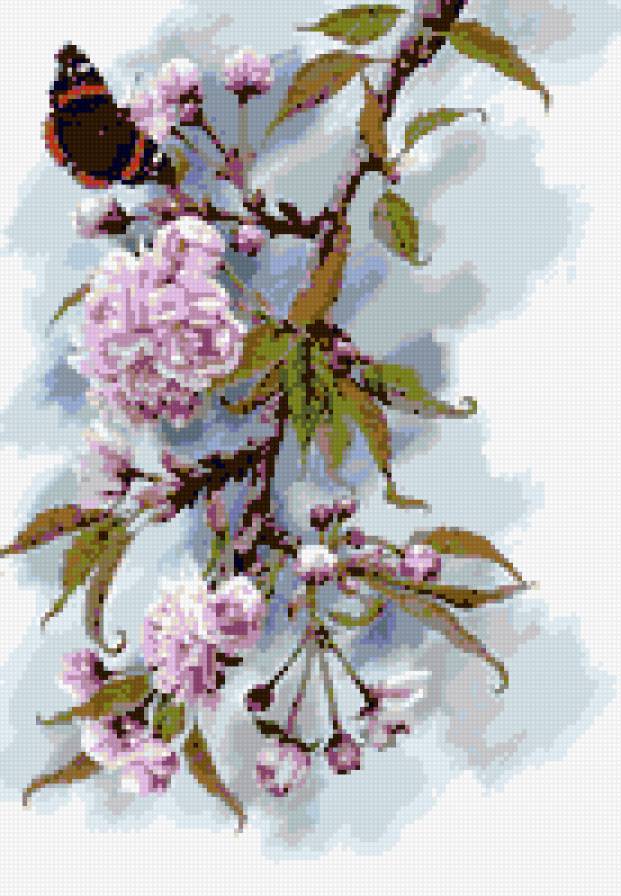 Бабочка - бабочка - предпросмотр