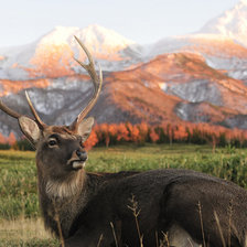 Схема вышивки «олень»