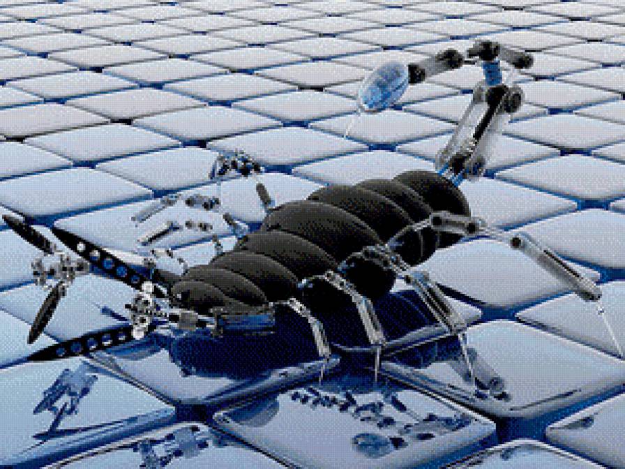 скорпион - насекомое - предпросмотр