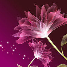 Схема вышивки «цветы»