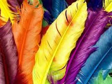 Схема вышивки «перья»