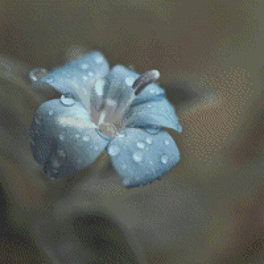 триптих л.часть нежность - роса, цветок, голубой - предпросмотр